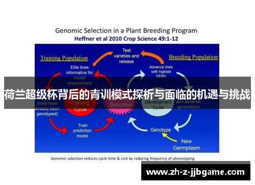 荷兰超级杯背后的青训模式探析与面临的机遇与挑战