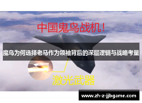 魔鸟为何选择老马作为领袖背后的深层逻辑与战略考量